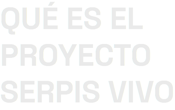 QUÉ ES EL PROYECTO SERPIS VIVO
