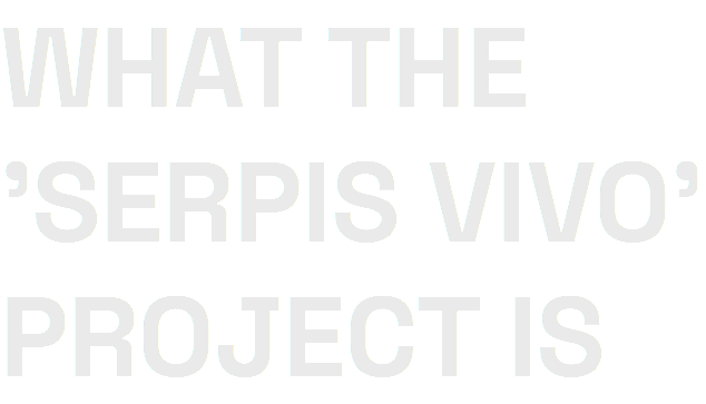 WHAT THE 'SERPIS VIVO' PROJECT IS