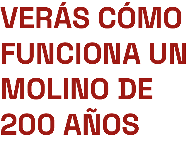 VERÁS CÓMO FUNCIONA UN MOLINO DE 200 AÑOS