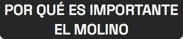 POR QUÉ ES IMPORTANTE EL MOLINO
