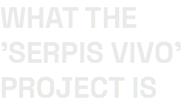 WHAT THE 'SERPIS VIVO' PROJECT IS