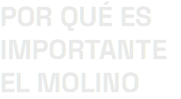 POR QUÉ ES IMPORTANTE EL MOLINO