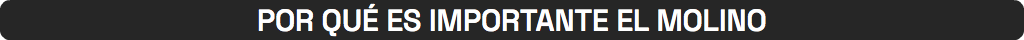 POR QUÉ ES IMPORTANTE EL MOLINO